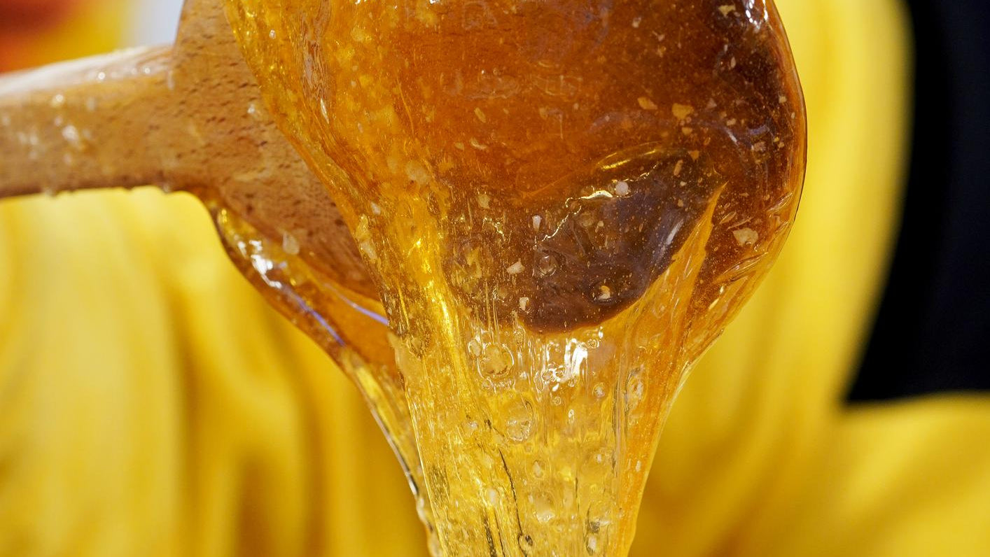 Premium Sidr Honey & Natural Herbal Products in UAE