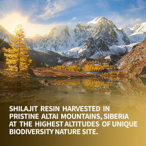 Shilajit Altai "Golden Mountains" Siberian Green.