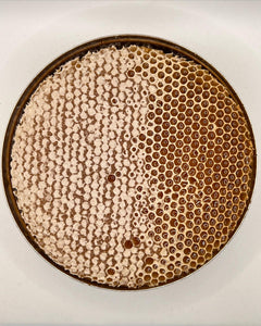 Emirati Premium Seder Honey with Bee wax